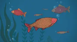 Os peixes bebem?