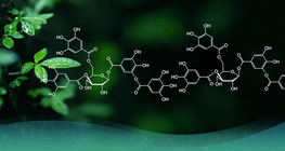 El desarrollo de la química orgánica