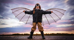 ¿Cómo logró el ser humano conquistar el aire?