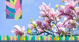 La primavera