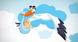 ¿De verdad traen las cigüeñas a los bebés?