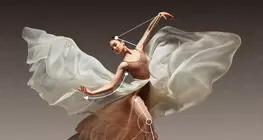 A física da dança