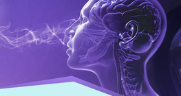 Sensores y receptores