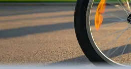 A forgómozgás dinamikája