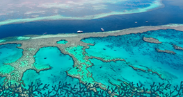 The Great Barrier Reef