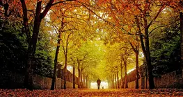 Otoño