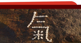 Advanced Character Radicals