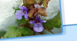 States of matter, change in state