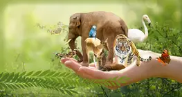 Especies parientes en la naturaleza