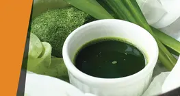 El color de las hojas