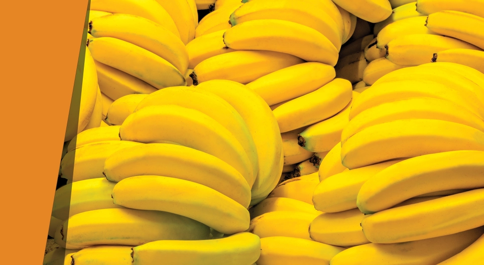 Blue banana