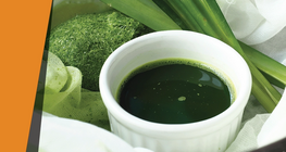 El color de las hojas