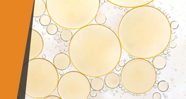 Grasa que desaparece