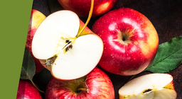 Bronceado en la sombra