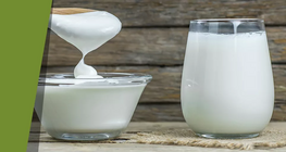Leche sólida