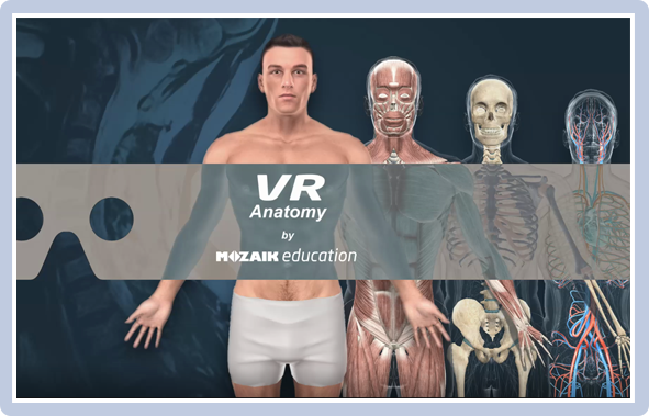 Atlas anatómico 3D