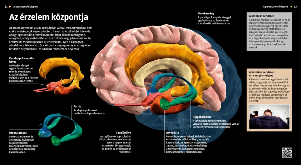 The Centre of Emotions
