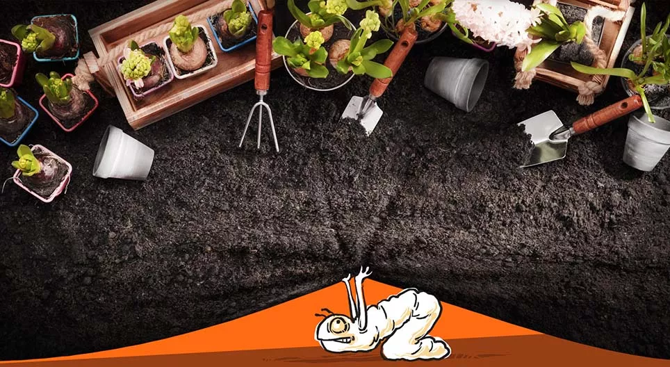 Como muda a vida no jardim?