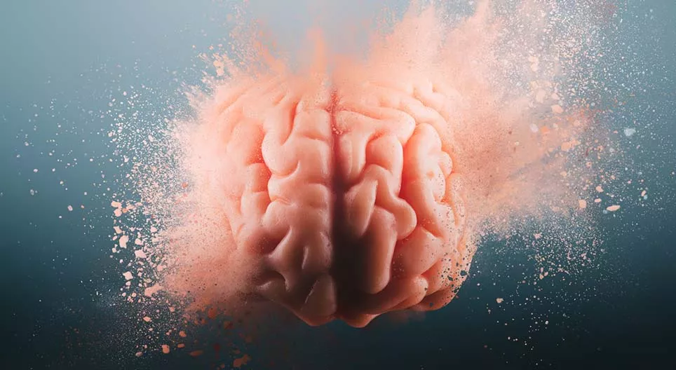 10 coisas interessantes acerca do cérebro humano