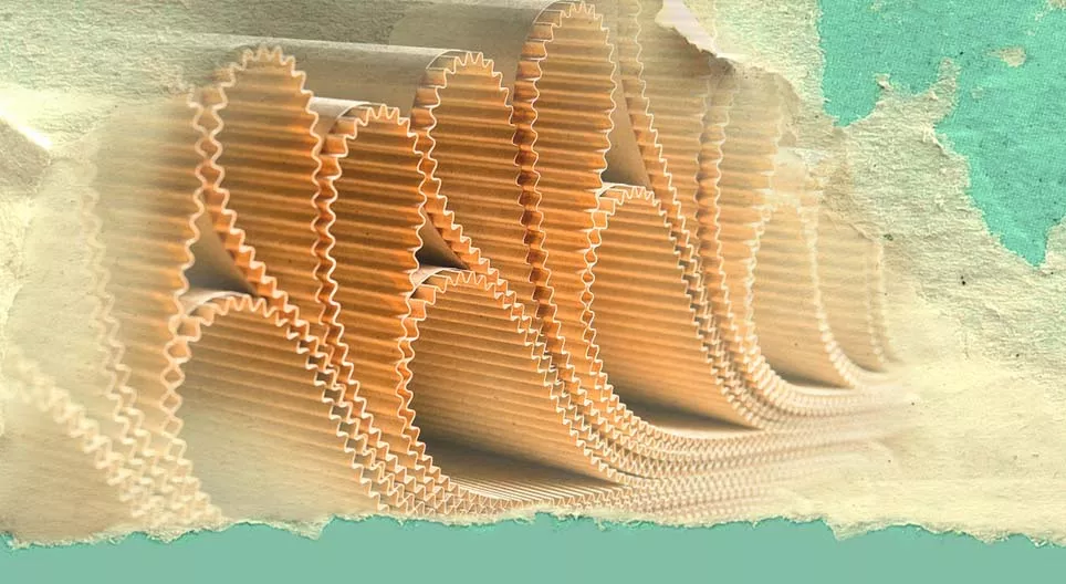 O passado e o presente do papel