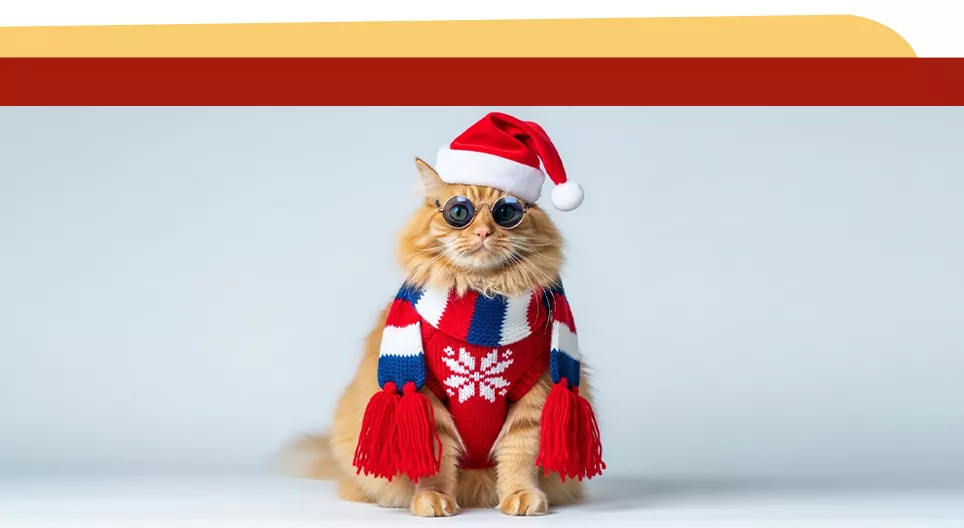 ¿Pero cómo vas así, otra vez? 