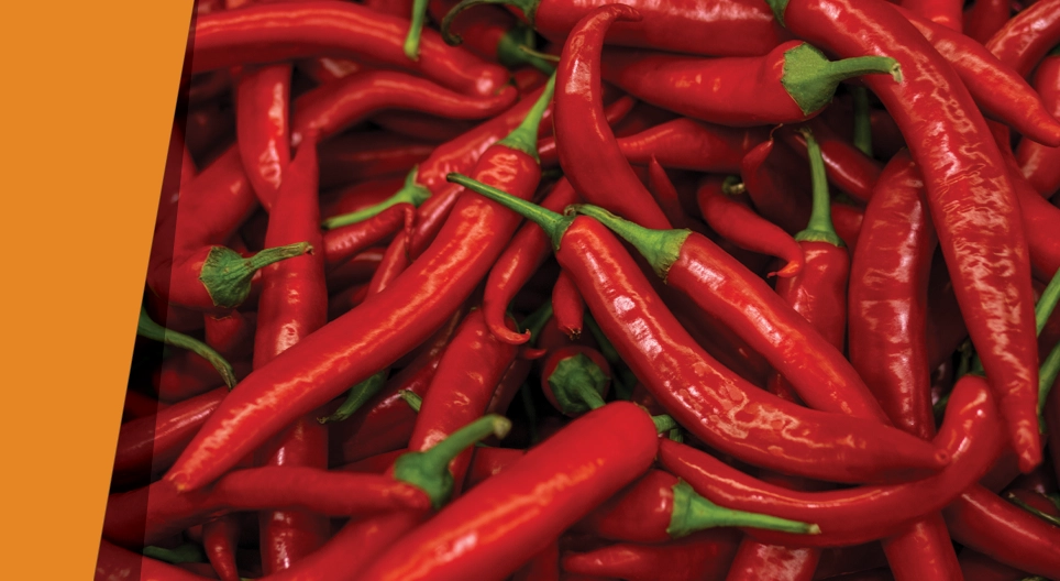 O semelhante dissolve-se no semelhante