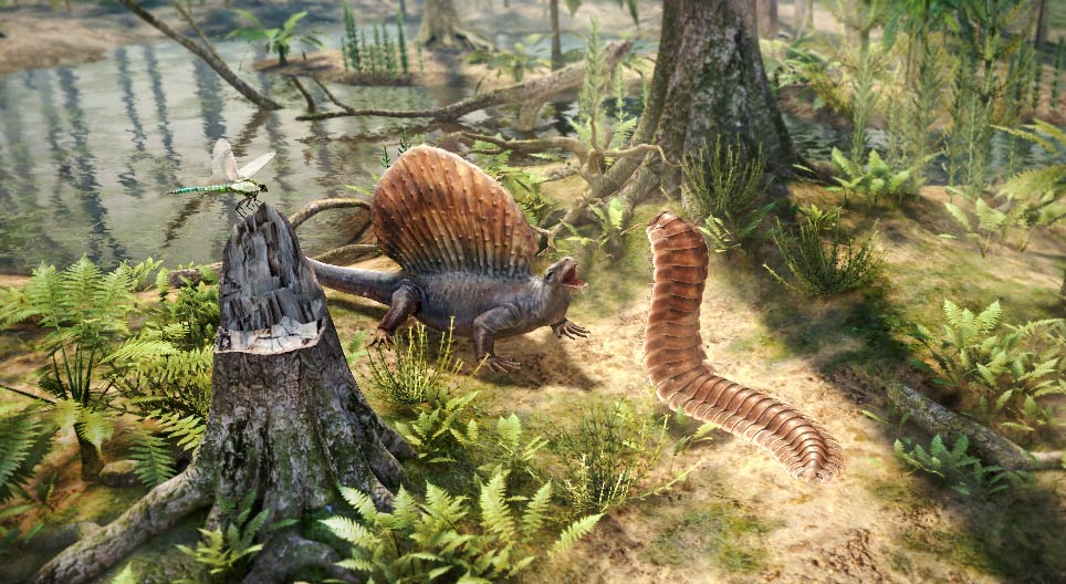 Fauna e Flora carbonífera