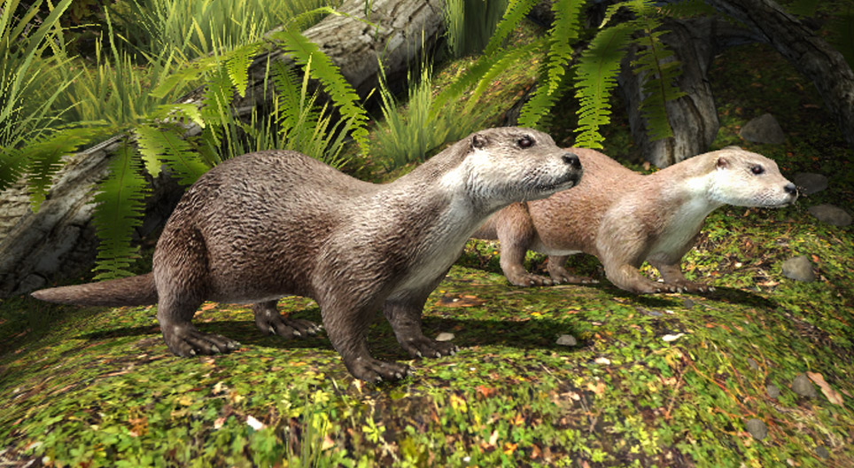 Lontra europeia