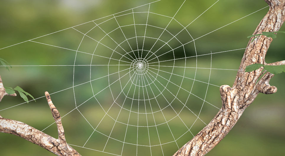 Seda de aranha, teia de aranha