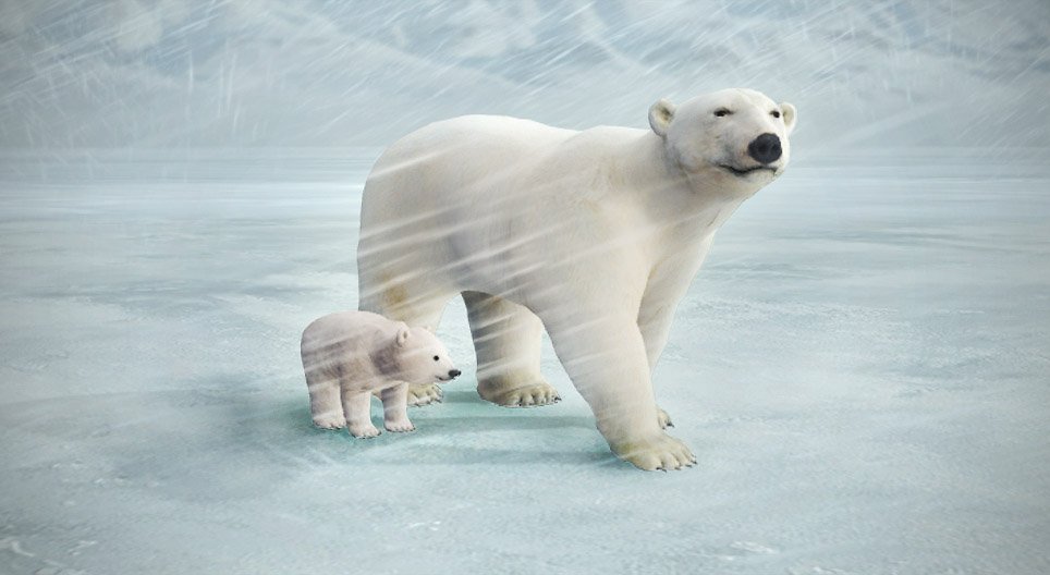 Urso-polar