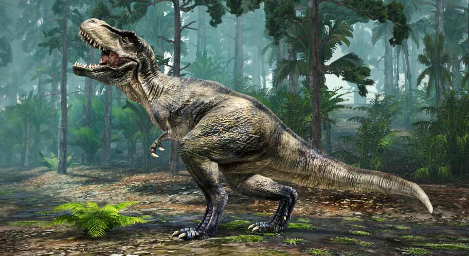 Tyrannosaurus rex (‘lagarto tirano’)
