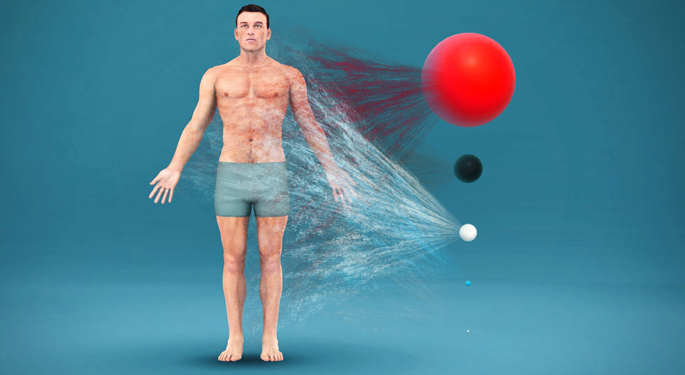 De que é composto o corpo humano?