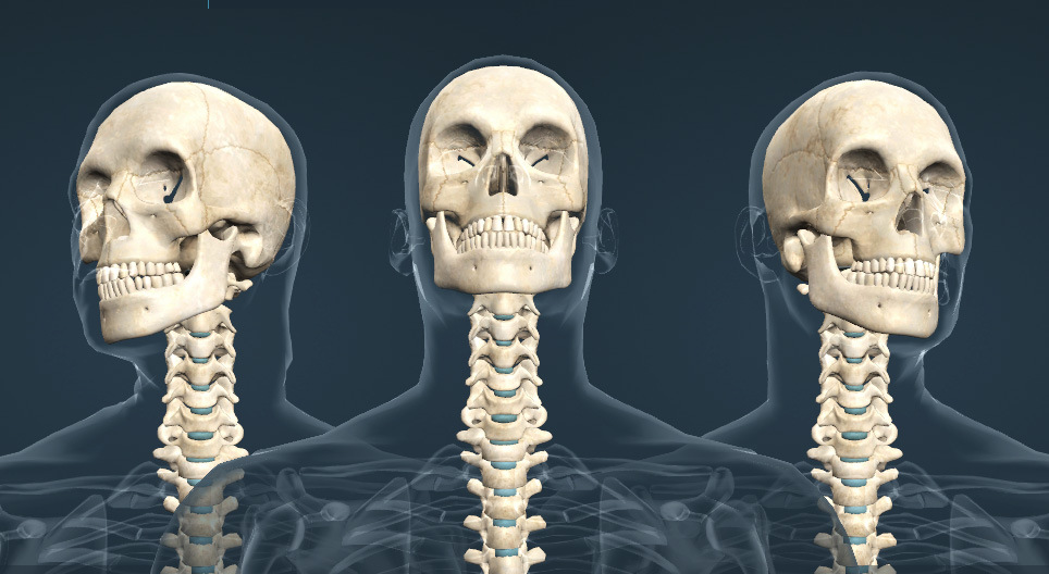 Movimentos da cabeça