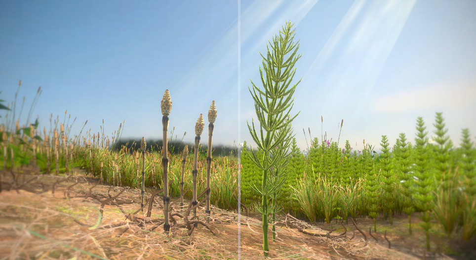 mozaik3D/BIO/noveny/field_horsetail/960.jpg