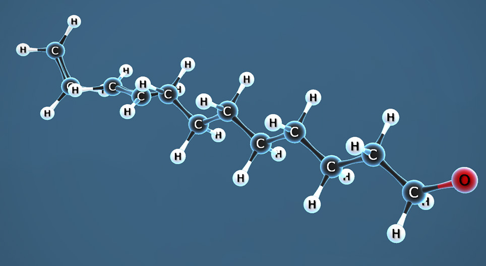 Polimerização de etileno (eteno)