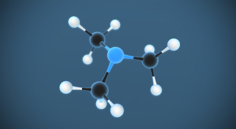 Trimetilamina N(CH₃)₃