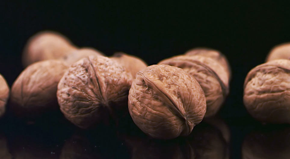 Vídeos educacionais