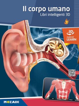 course.php?cmd=single_book&bid=MS-6404-IT