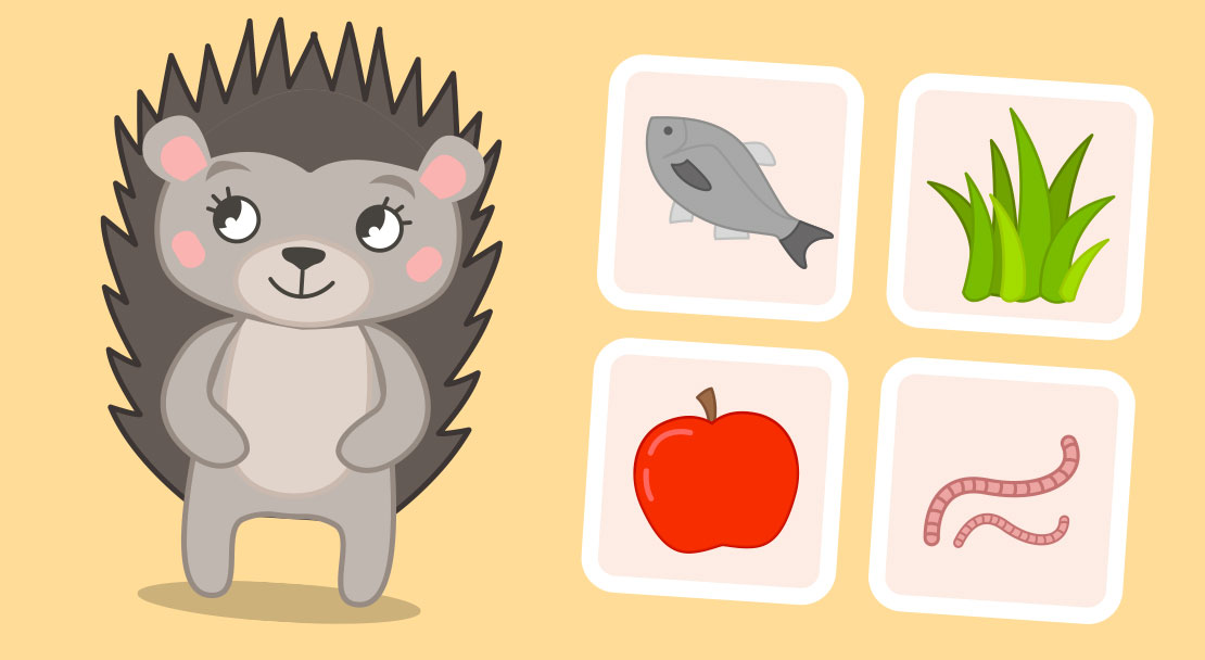 Quiz animal