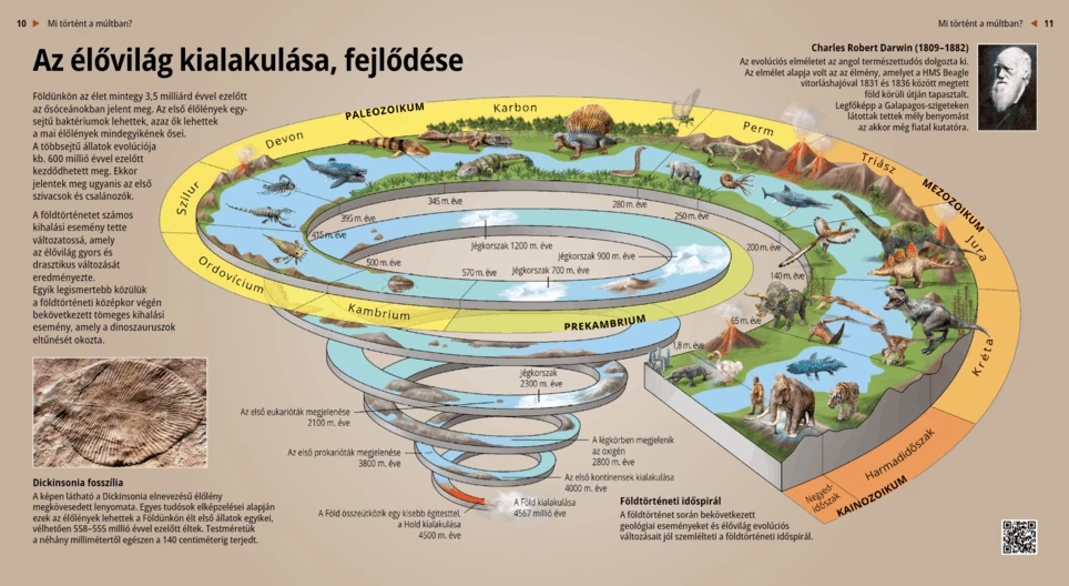 El desarrollo de la flora y la fauna