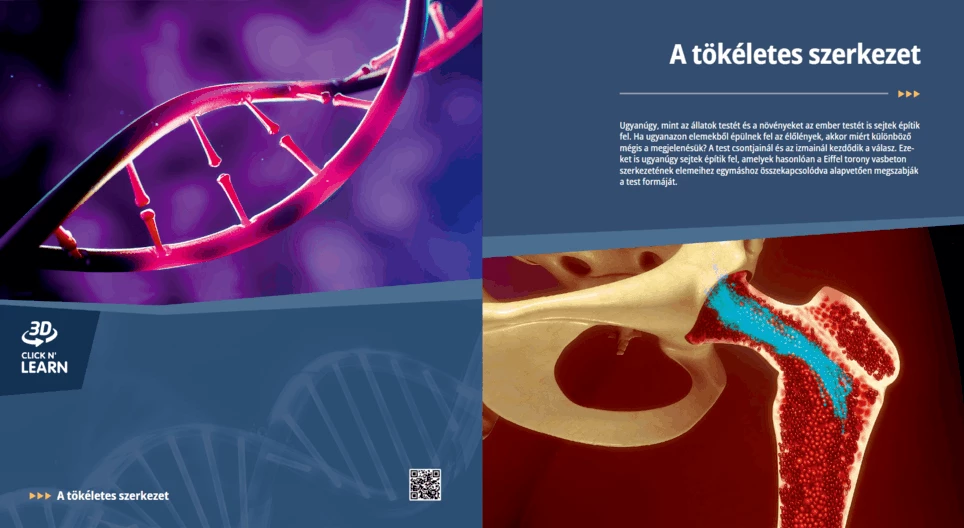 El mecanismo perfecto