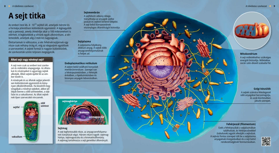 El secreto de las células