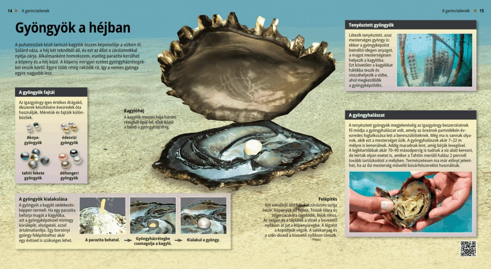 Las perlas, extraños dones de la naturaleza