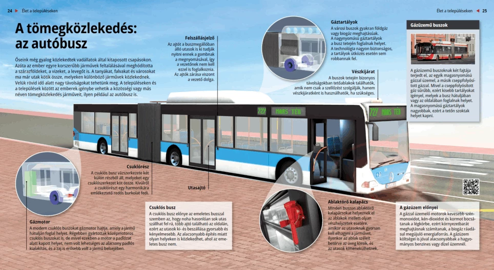 El transporte público: el autobús