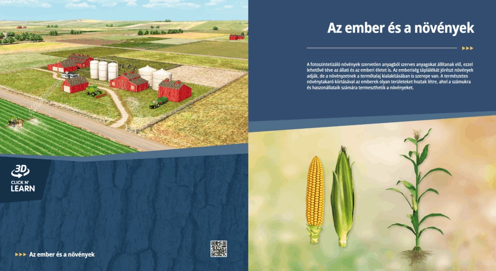 Los humanos y las plantas