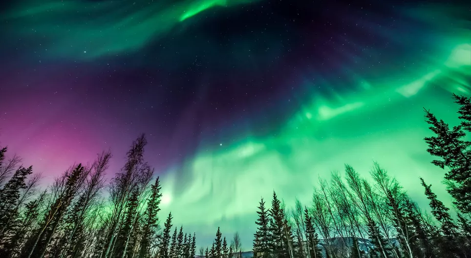 Vamos assistir a aurora boreal!