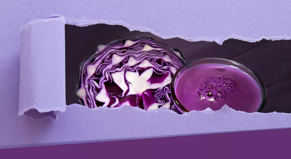 Indicador de col morada