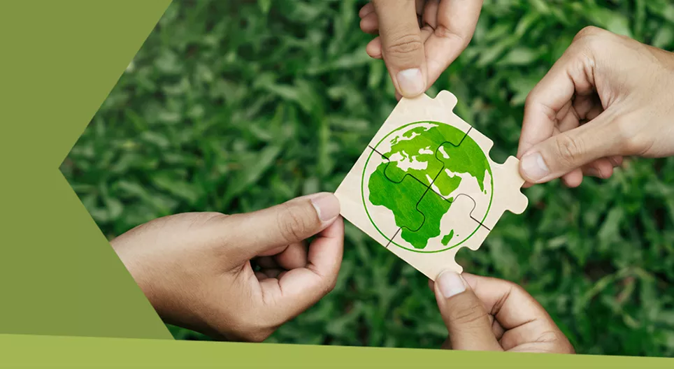 ¿Qué significa llevar una vida sostenible?