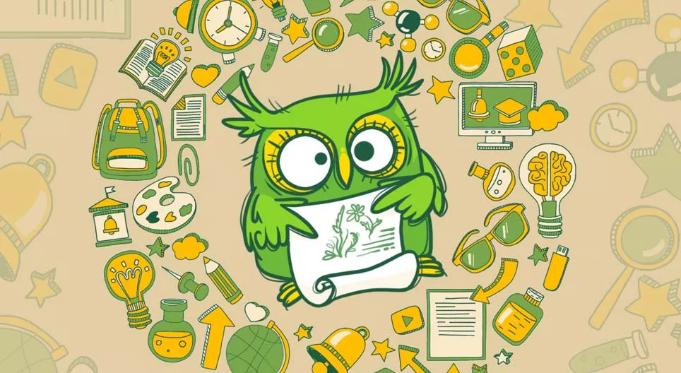 Estudo em casa: As ervas e as plantas medicinais