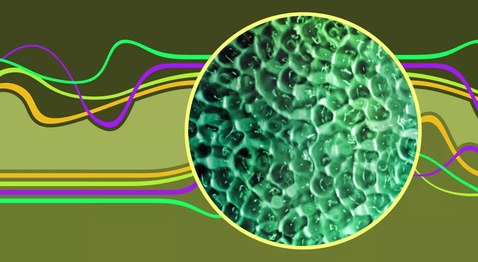 Ondas estacionárias
